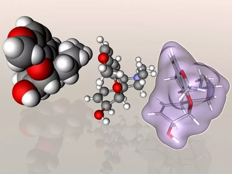 Codeine molecule 3D model_0