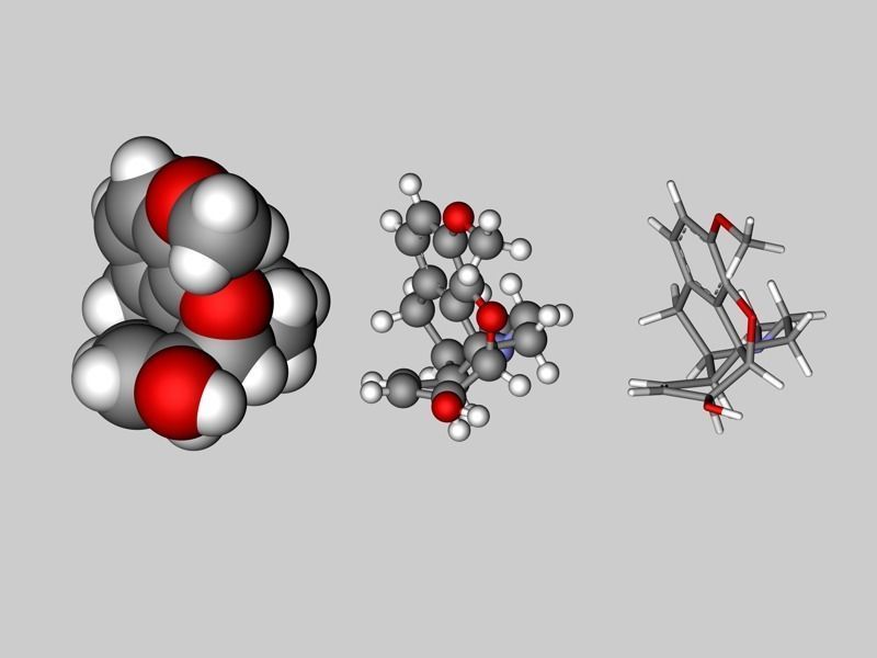 Codeine molecule 3D model | CGTrader