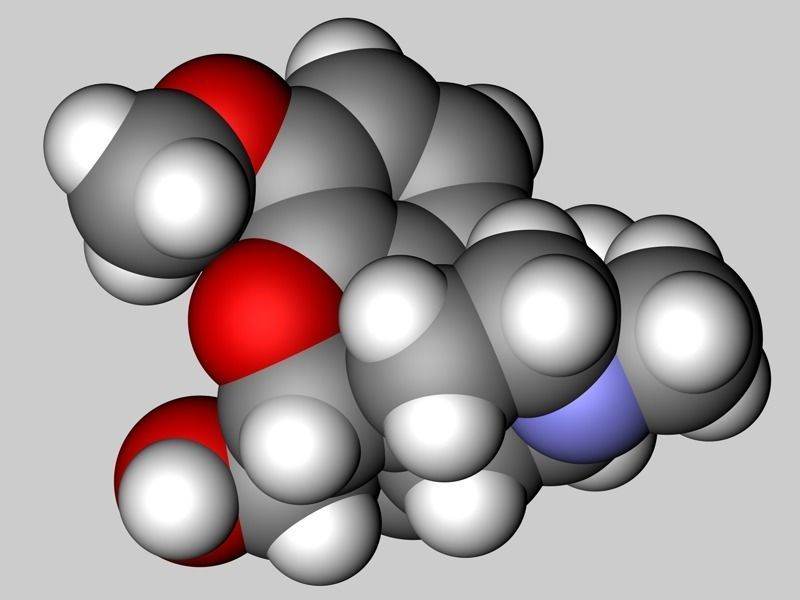 Codeine molecule 3D model_1