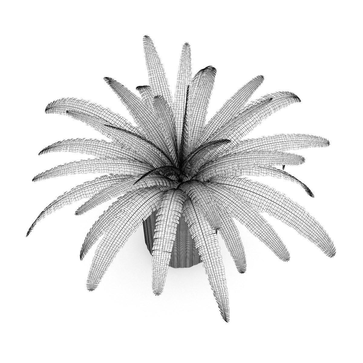 Fern in Wicker Basket 3D model_3