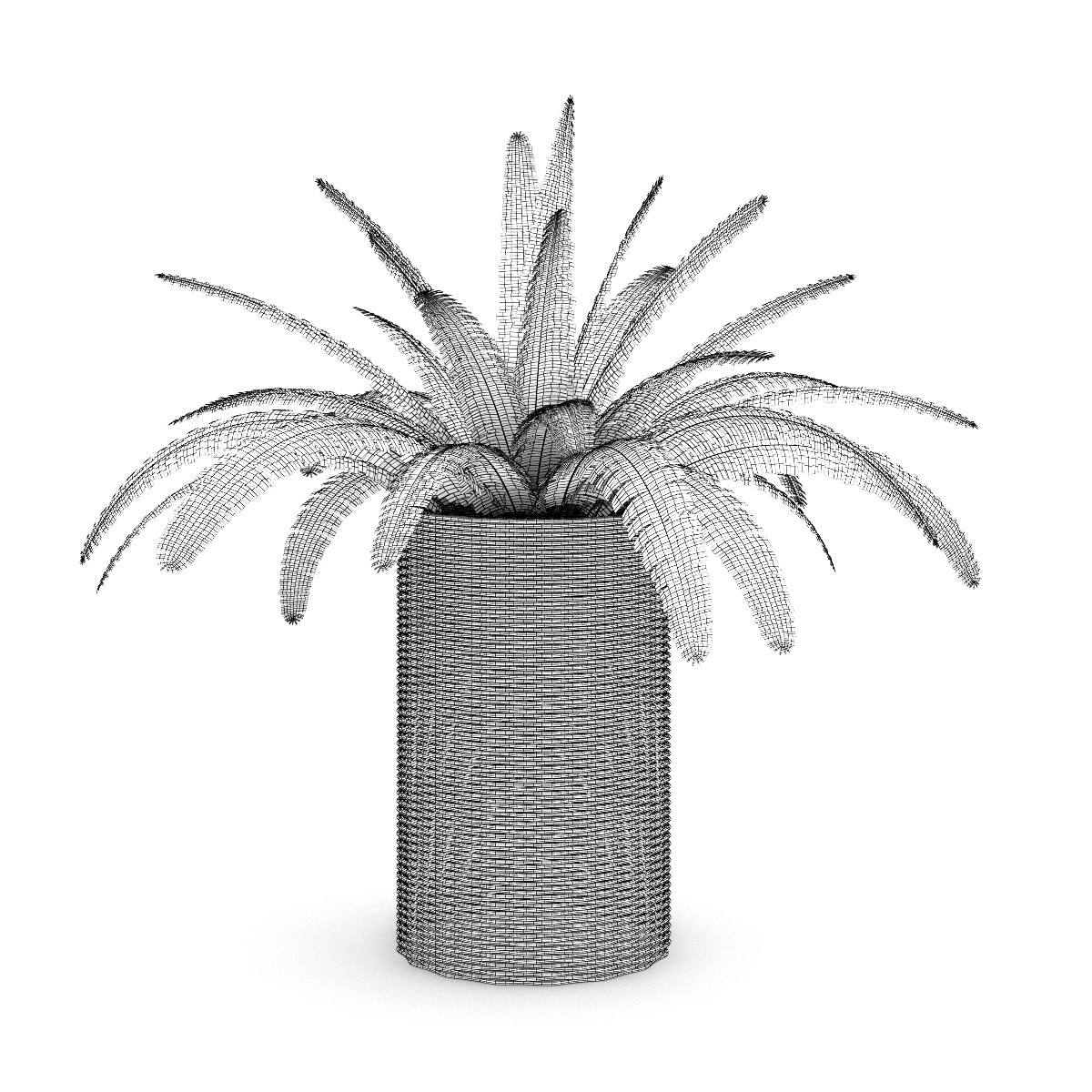 Fern in Wicker Basket 3D model_2