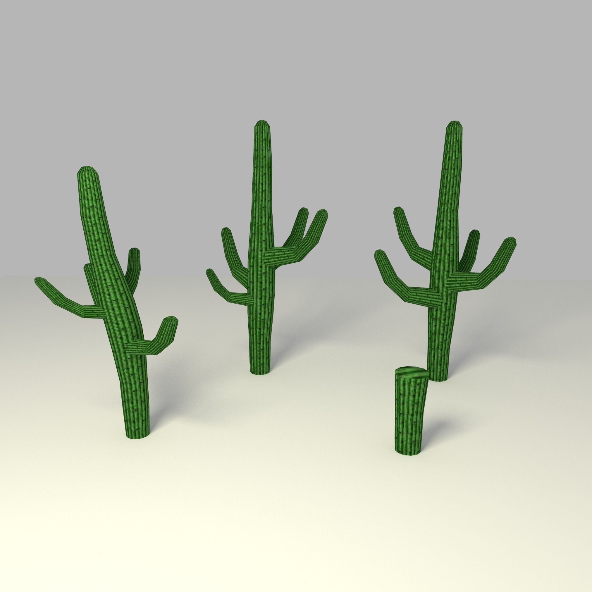 Cactus low-poly three plants in desert Low-poly 3D model_1