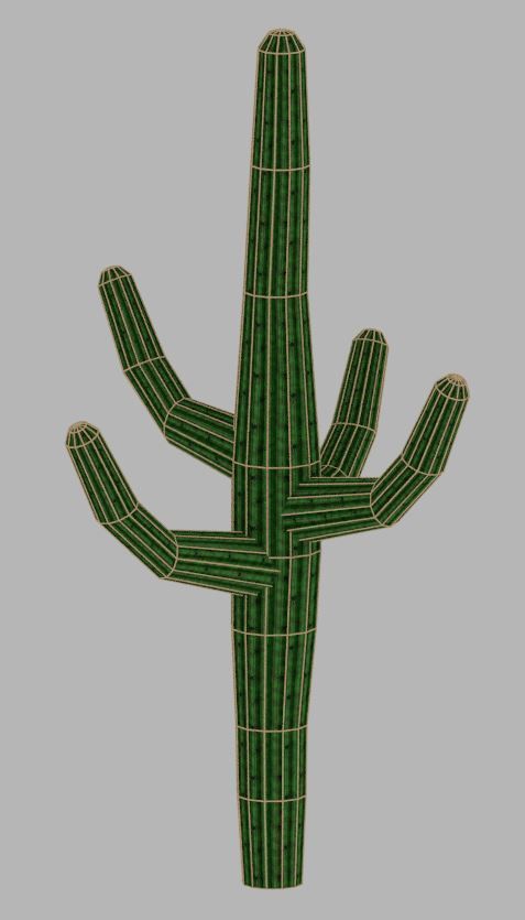 Cactus low-poly three plants in desert Low-poly 3D model_2