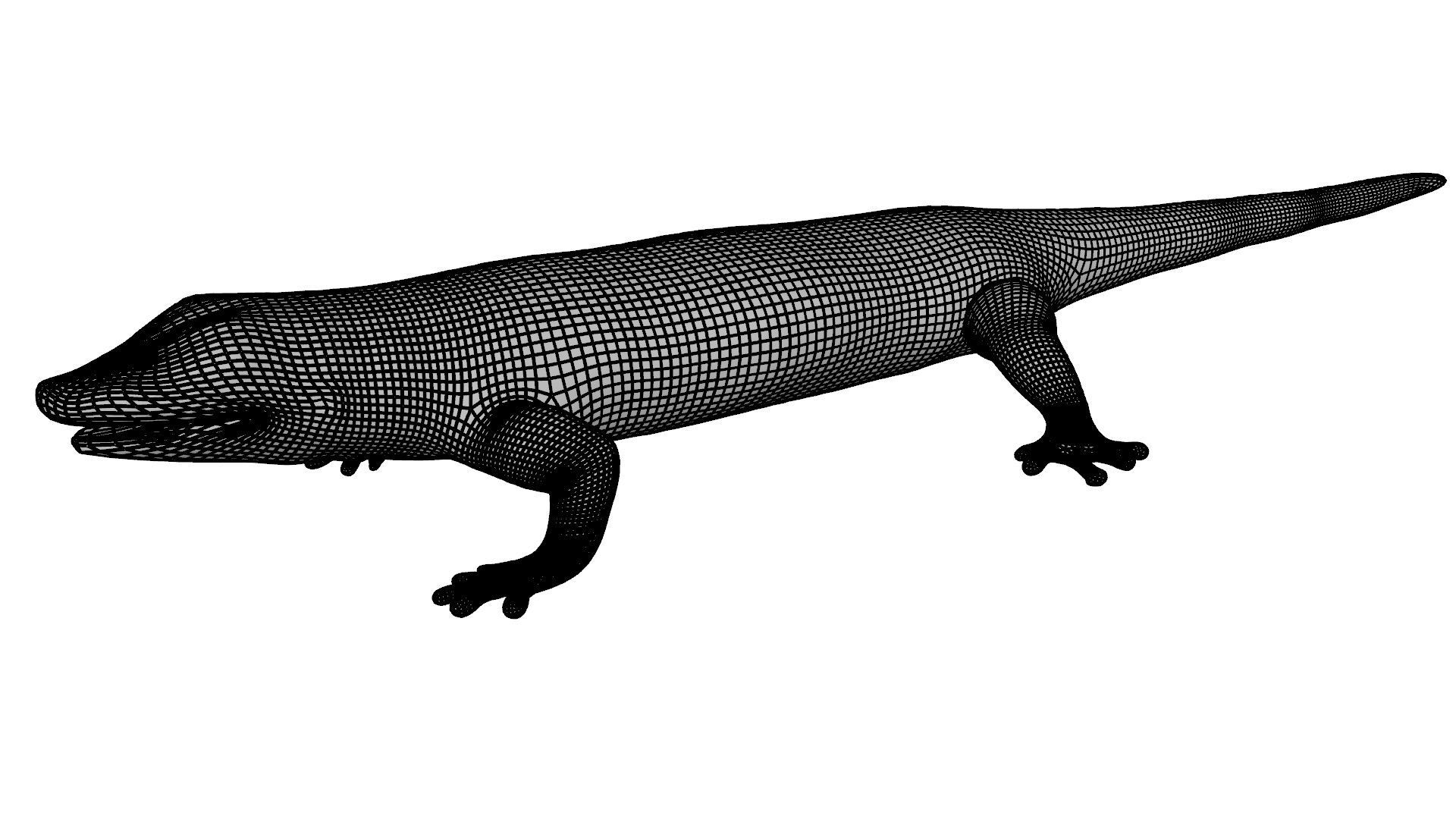Madagascar Day Gecko 3D model_7
