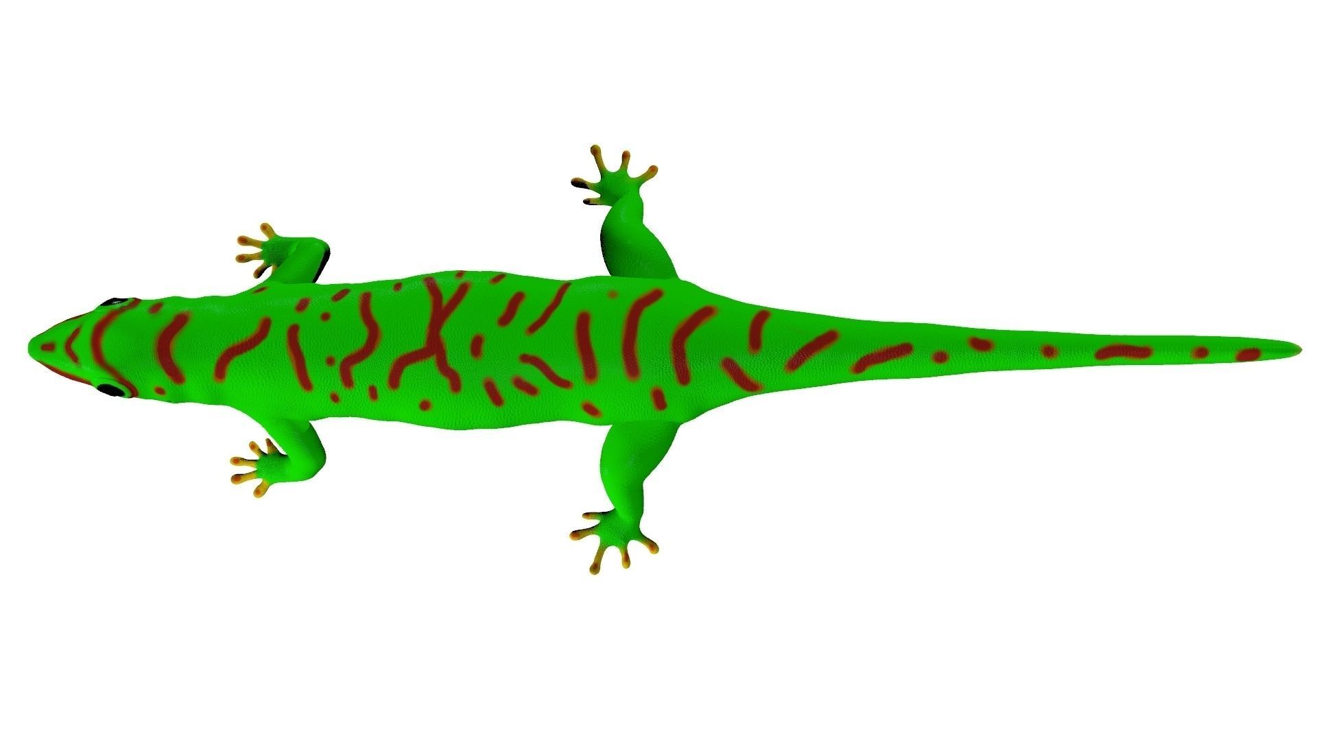 Madagascar Day Gecko 3D model_1