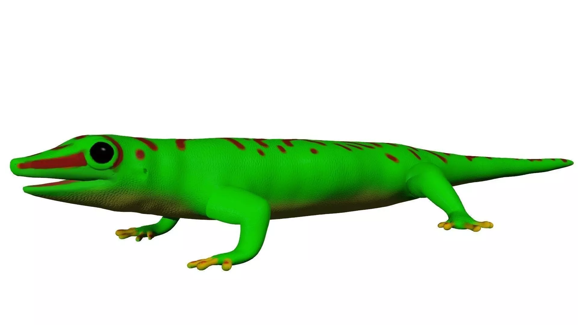 Madagascar Day Gecko 3D model_0