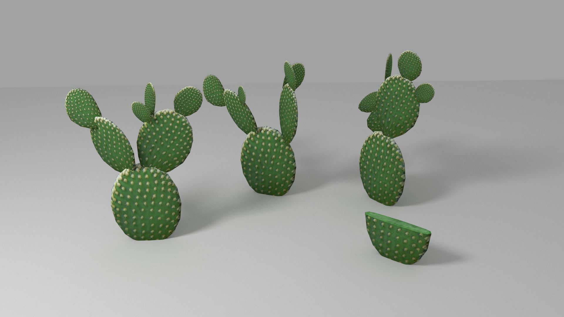Cactus low Low-poly 3D model_4