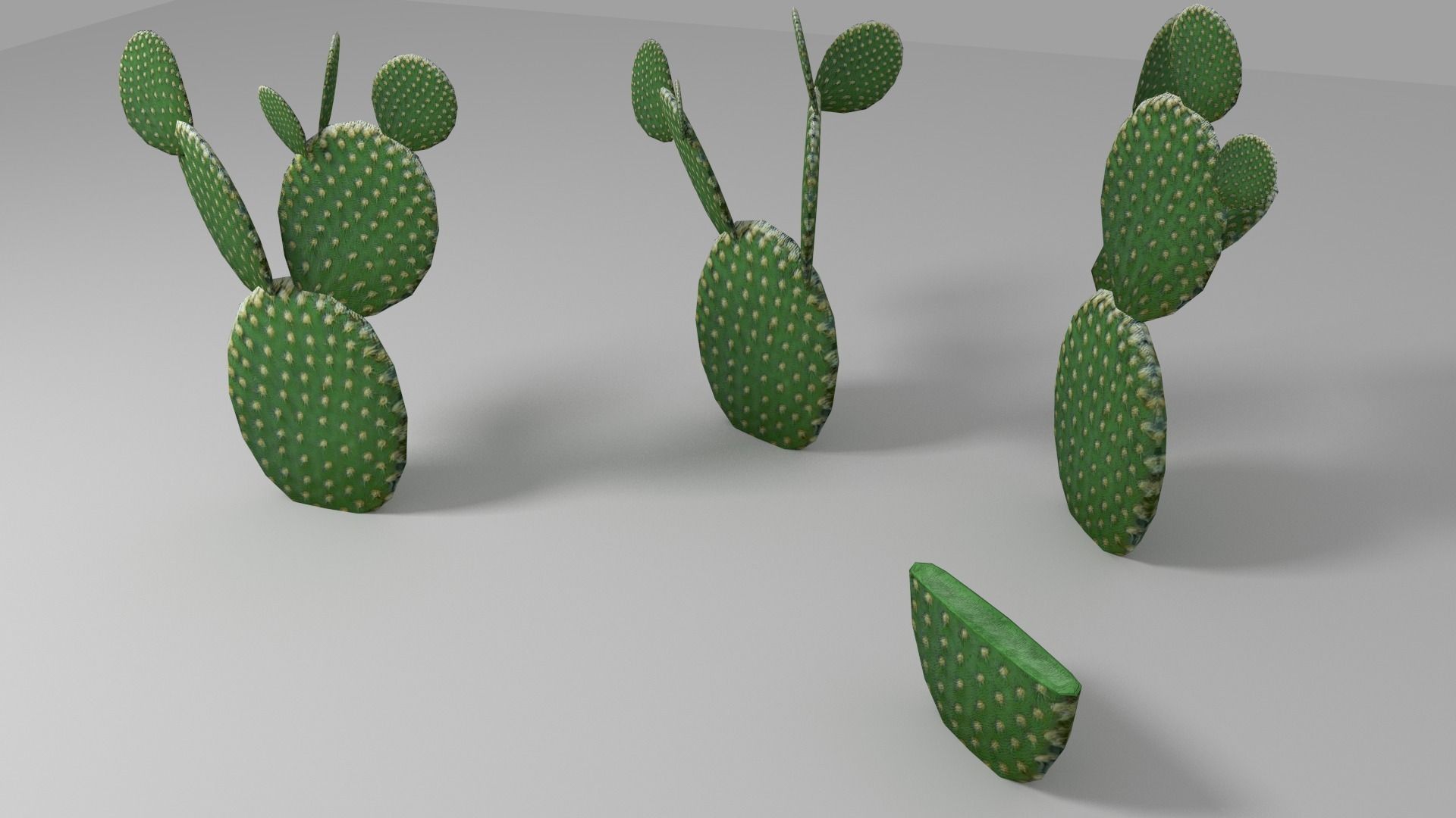 Cactus low Low-poly 3D model_3