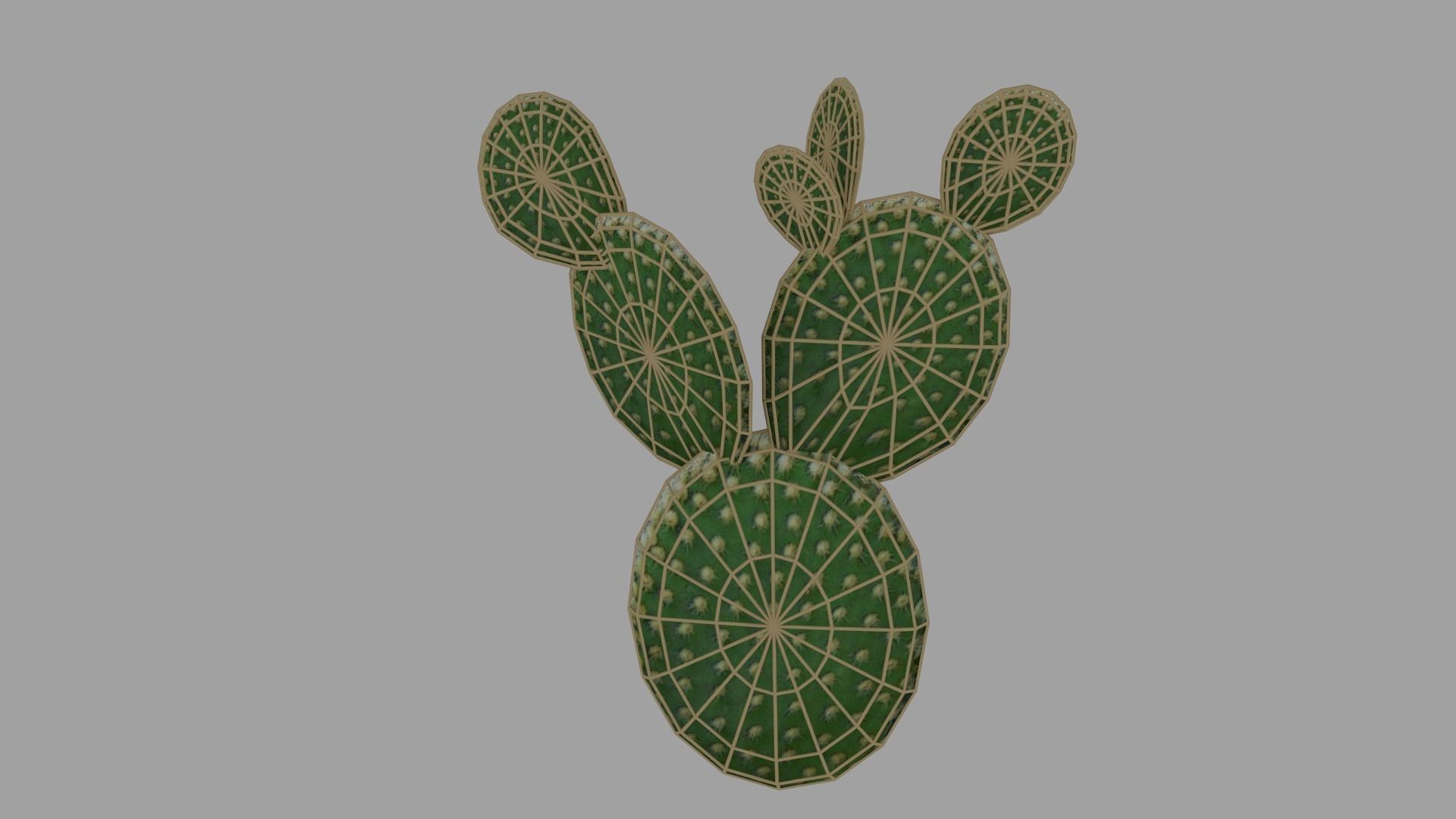 Cactus low Low-poly 3D model_1