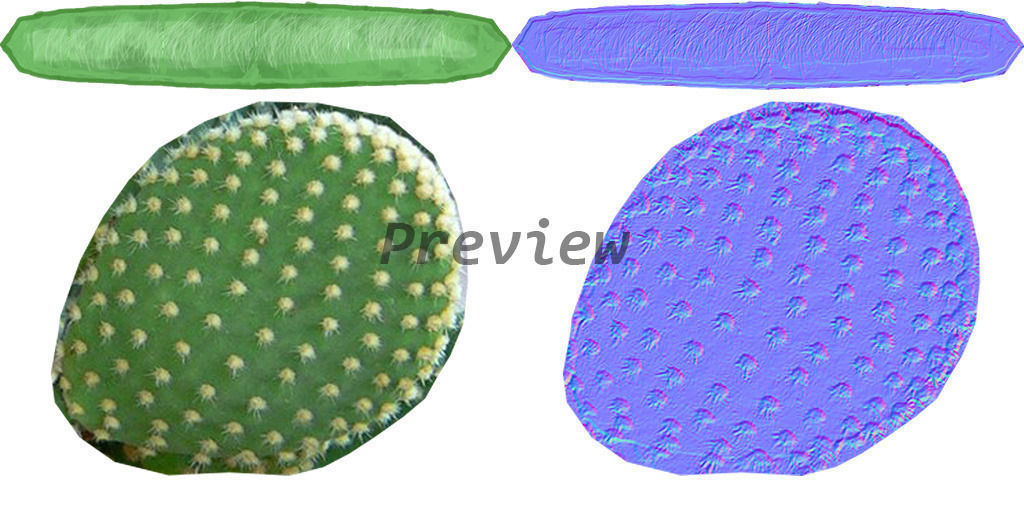 Cactus low Low-poly 3D model_2