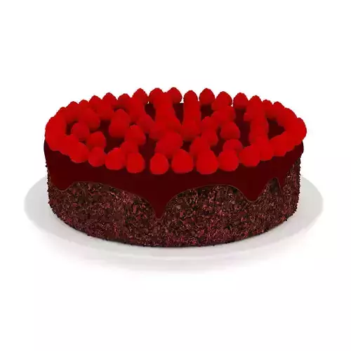 Chocolate Cake with Raspberries