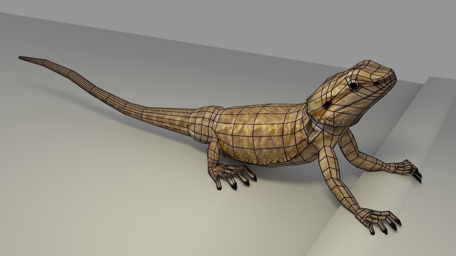 Bearded Dragon low-poly Low-poly 3D model_0