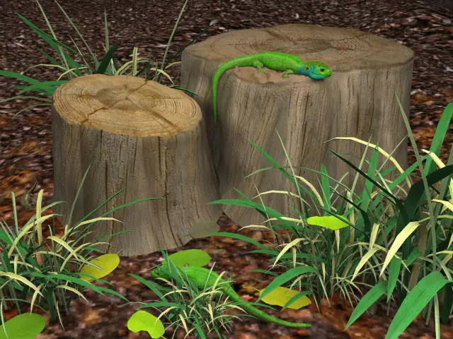 green lizards 3D model_0