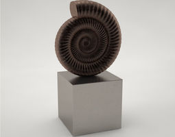 Free Fossil 3D Models | CGTrader
