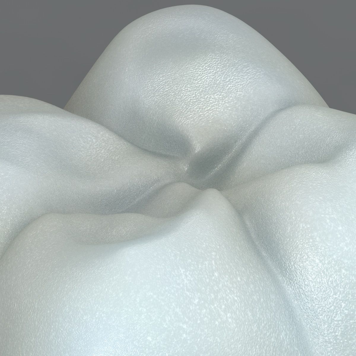 Realistic Human Teeth 3D model_5