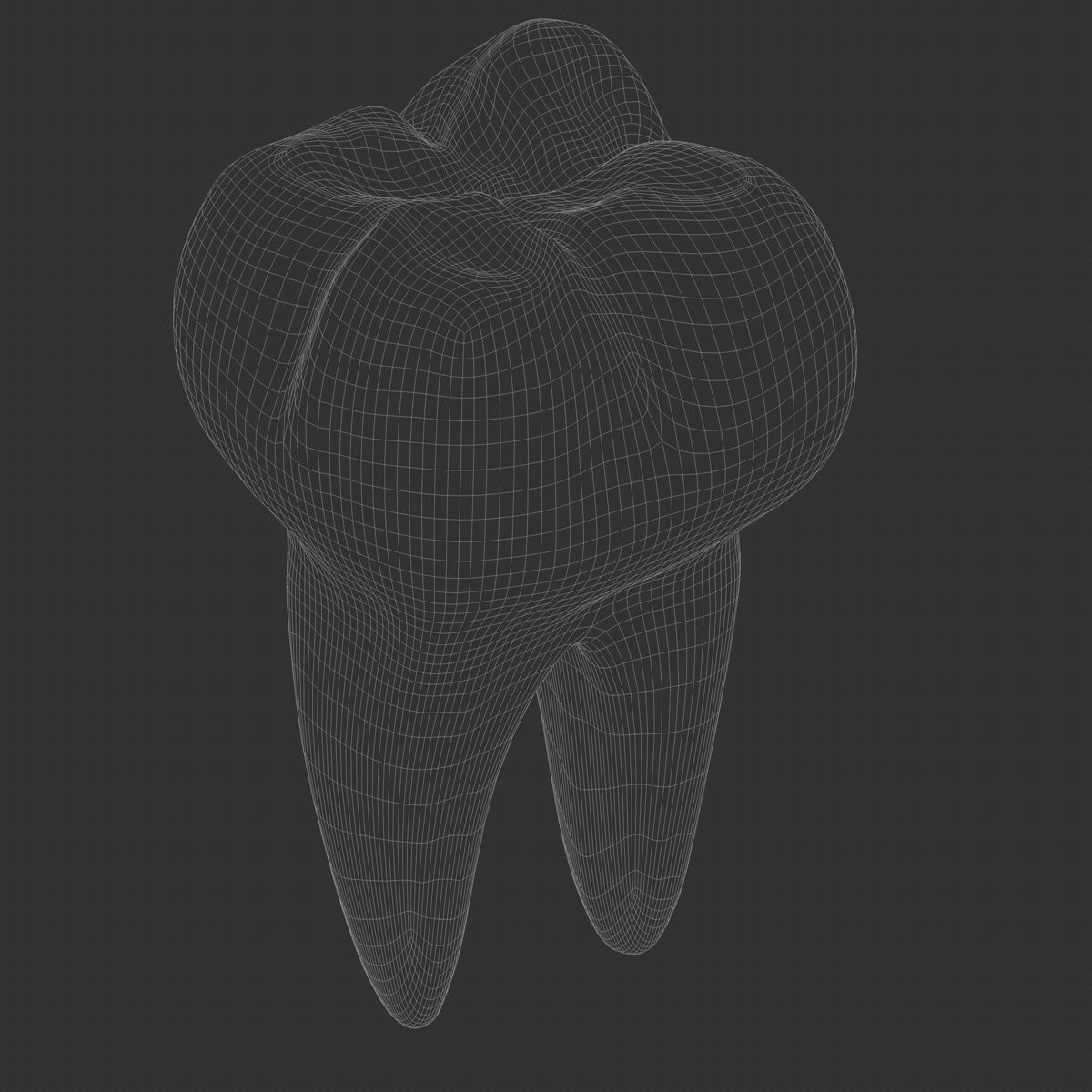 Realistic Human Teeth 3D model_4