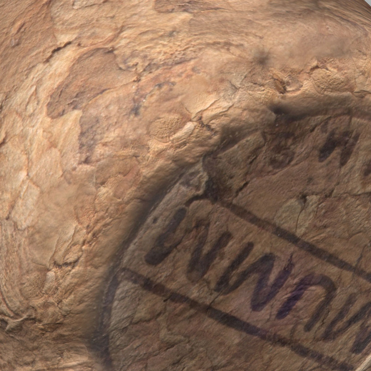 Realistic Champagne cork 3D model_5