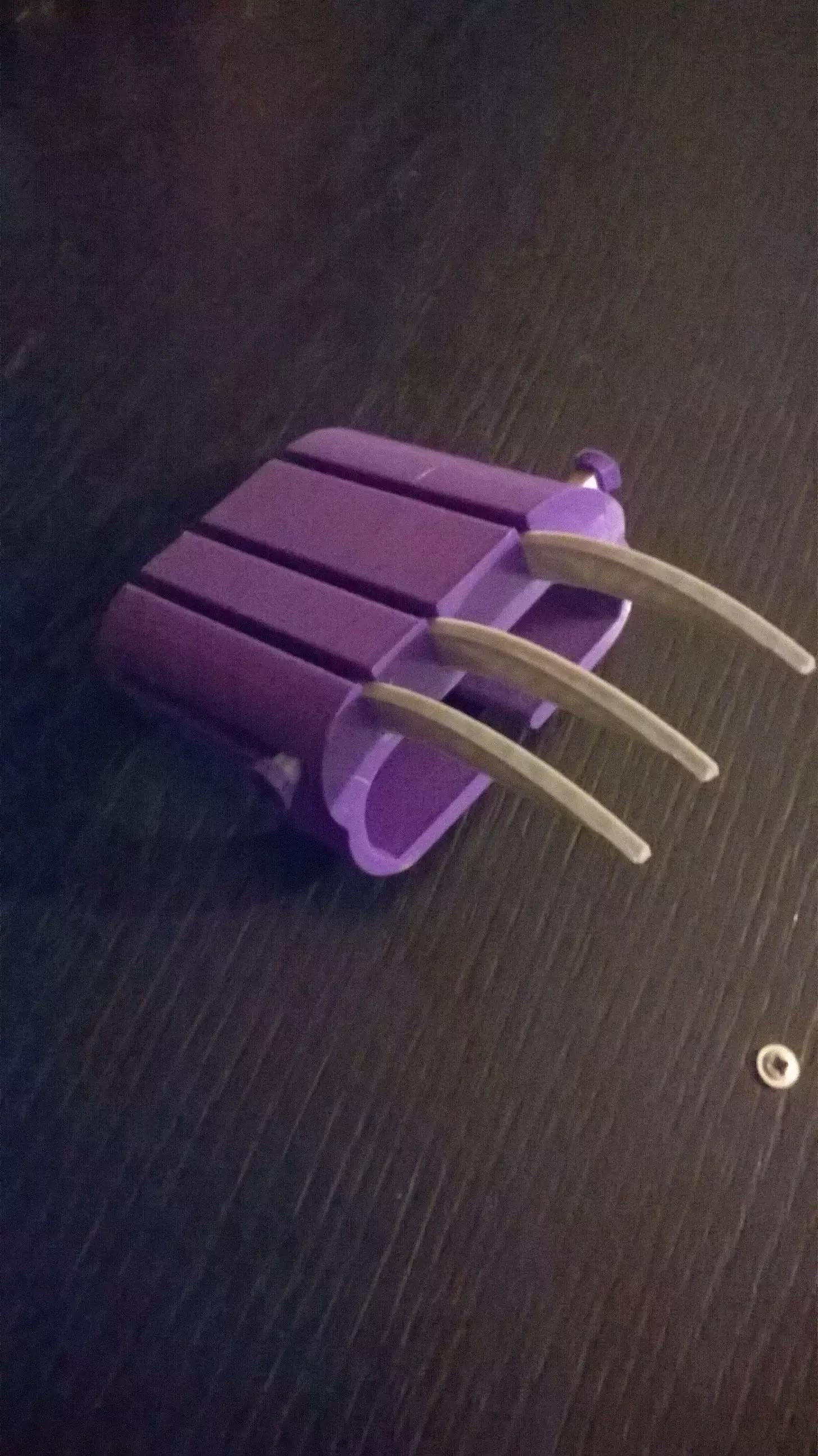 Tiger paw 3D print model