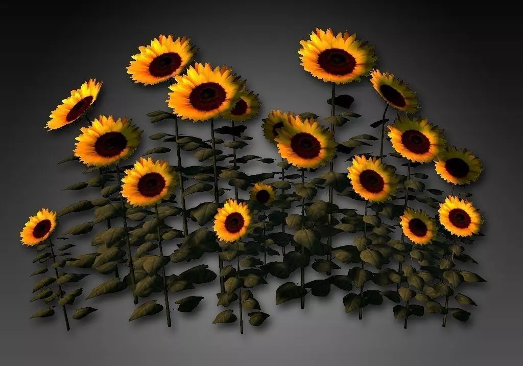Sunflower Cluster Low-poly 3D model_0