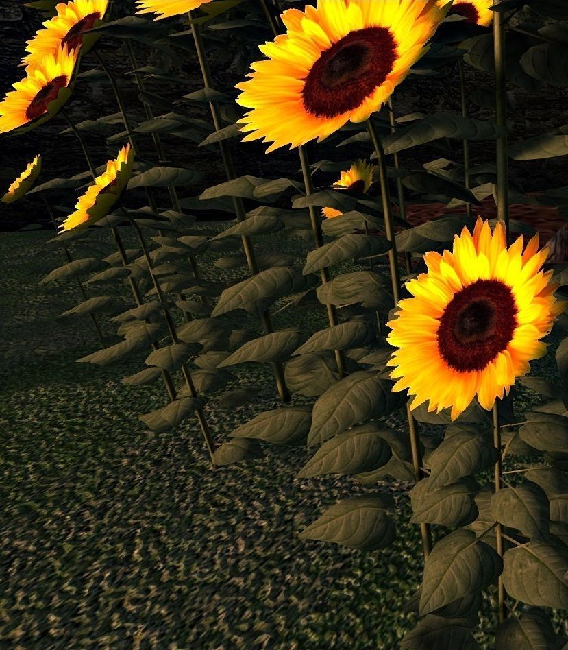 Sunflower Cluster Low-poly 3D model_1