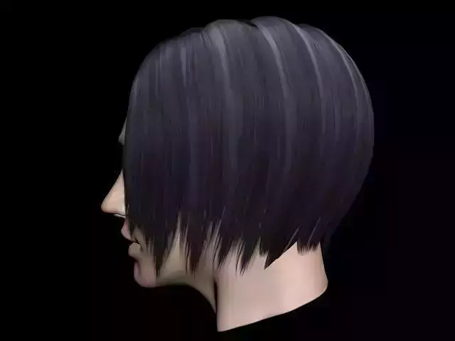 Haircut No 1 -  Short Black Hair for Woman