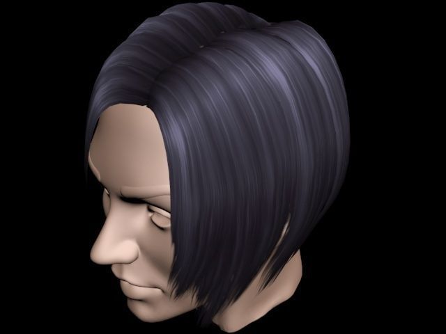 Haircut No 1 - Short Black Hair for Woman 3D Model .max ...