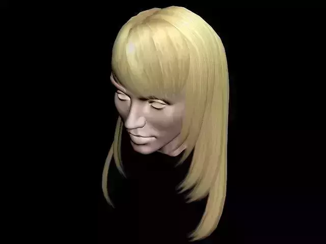 Haircut No 2 - Blond Hair for Woman