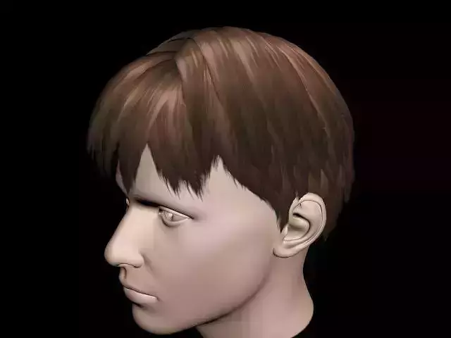 Haircut No 3 - Short Brown Hair for Man