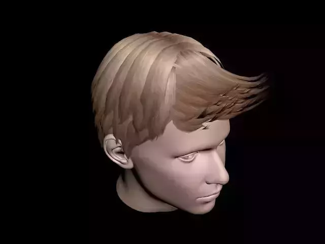 Haircut No 4 - Short Brown Hair for Man