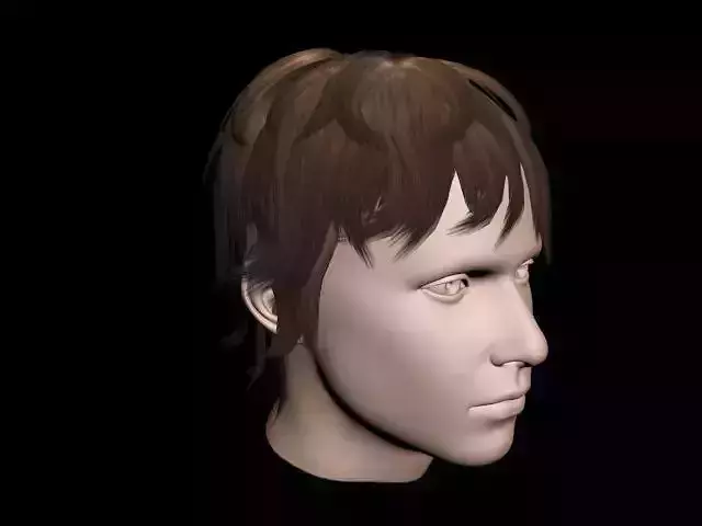 Haircut No 5 - Short Dark Brown Hair for Man