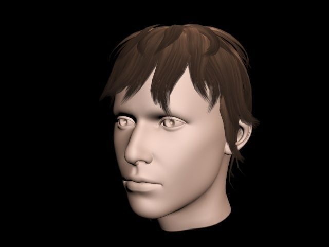 Haircut No 5 Short Dark Brown Hair for Man 3D Model .max .obj .fbx Haircut No 5 Short Dark Brown Hair for Man 3D Model .max .obj .fbx