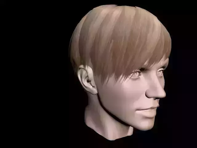 Haircut No 6 - Short Light Brown Hair for Woman