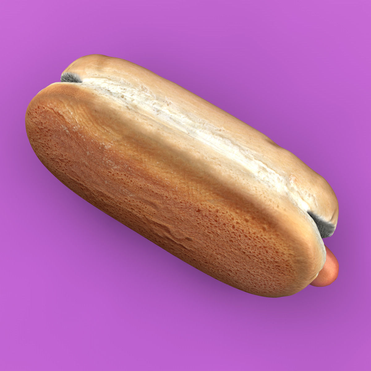 Hotdog with mustard 3D model_5
