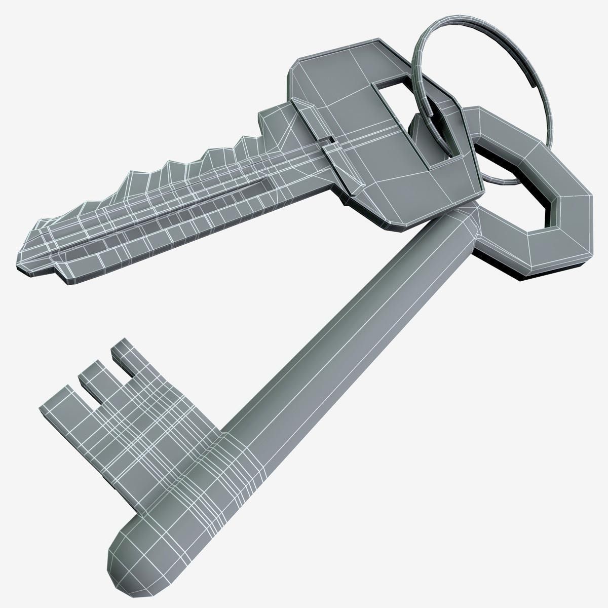 Two Keys 3D model_1