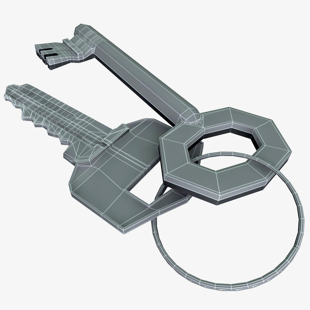 Two Keys 3D model_3