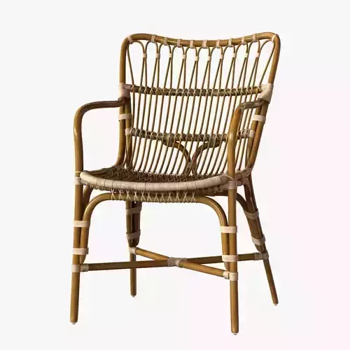 Retro rattan dining arm chair