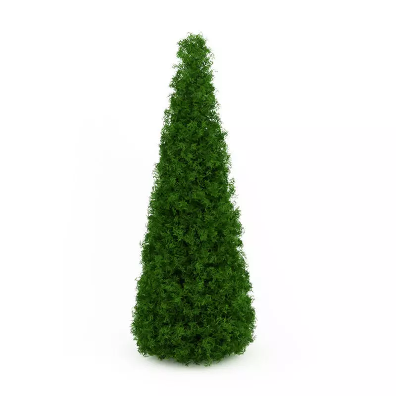 Eastern Arborvitae Thuja occidentalis 3D model_0