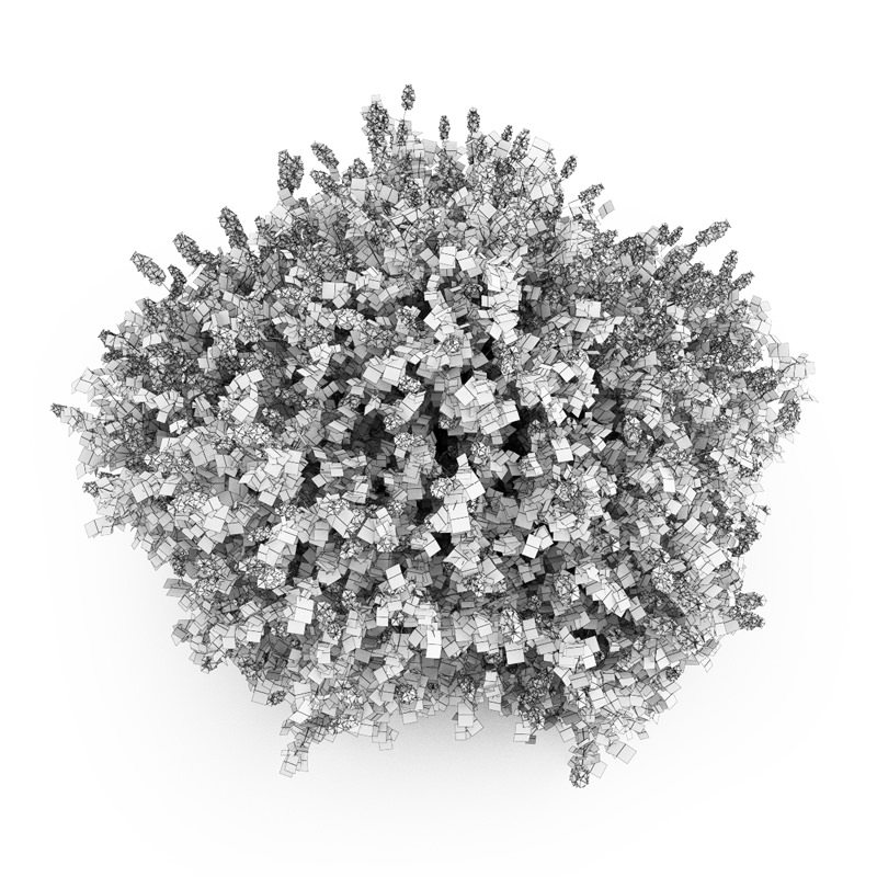 Lilac Syringa Vulgaris 3D model_3