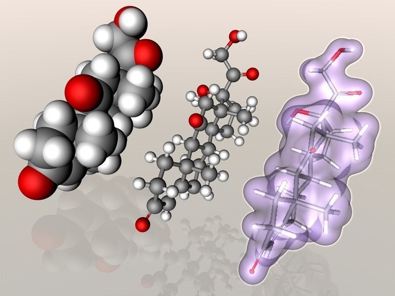 Cortisone molecule  3D model_7