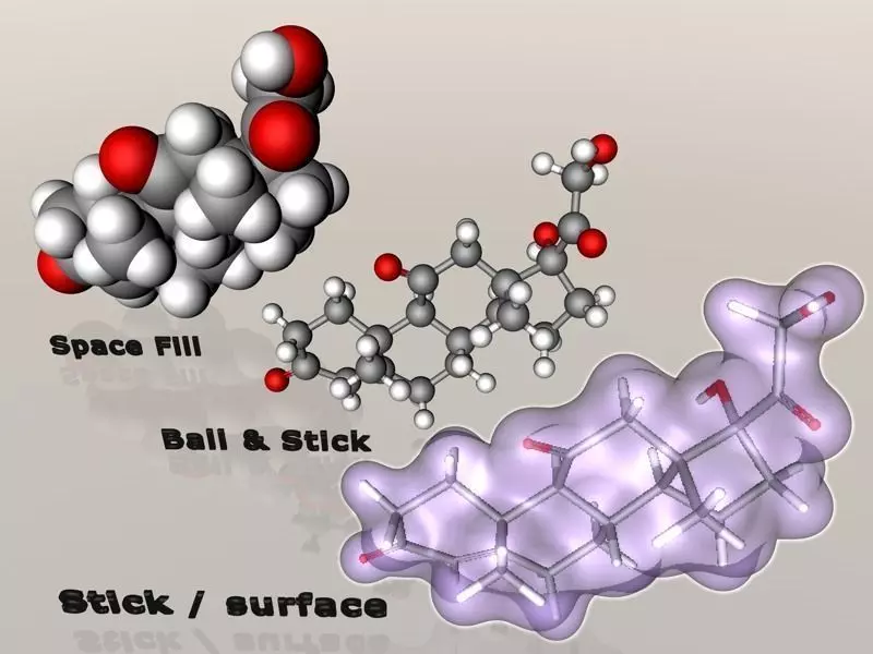 Cortisone molecule  3D model_0