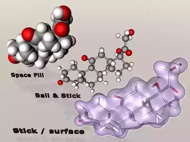Cortisone molecule  3D model