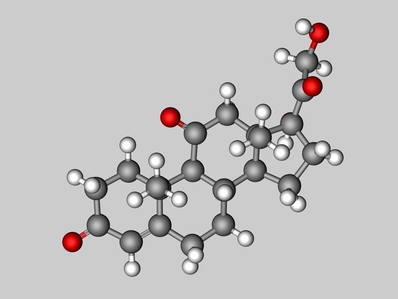 Cortisone molecule  3D model_4