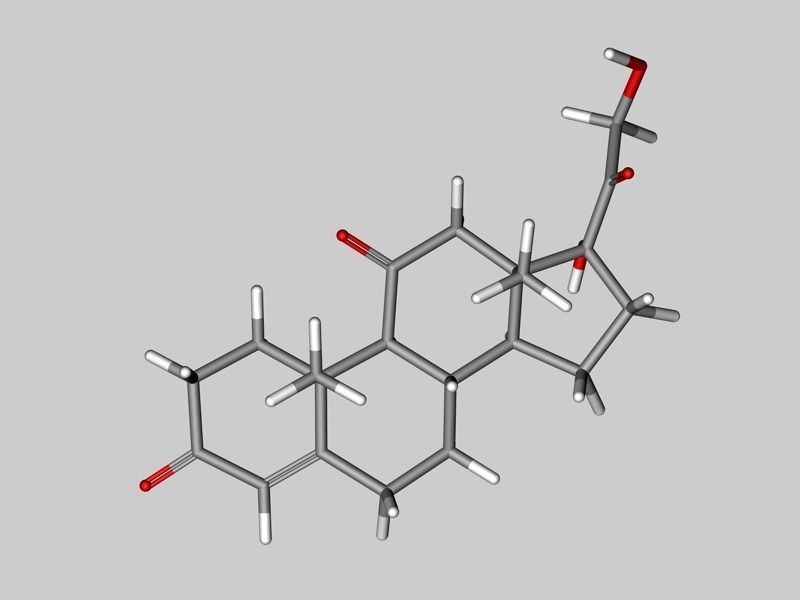 Cortisone molecule  3D model_5