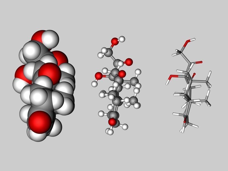 Cortisone molecule  3D model_2