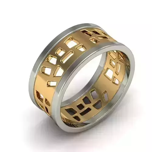  Colored Ring  3D print model