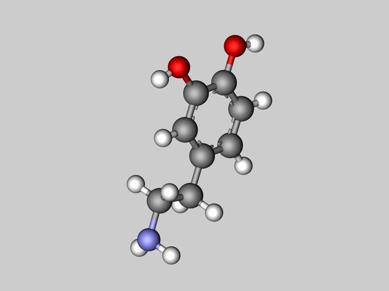 Dopamine molecule 3D model_4