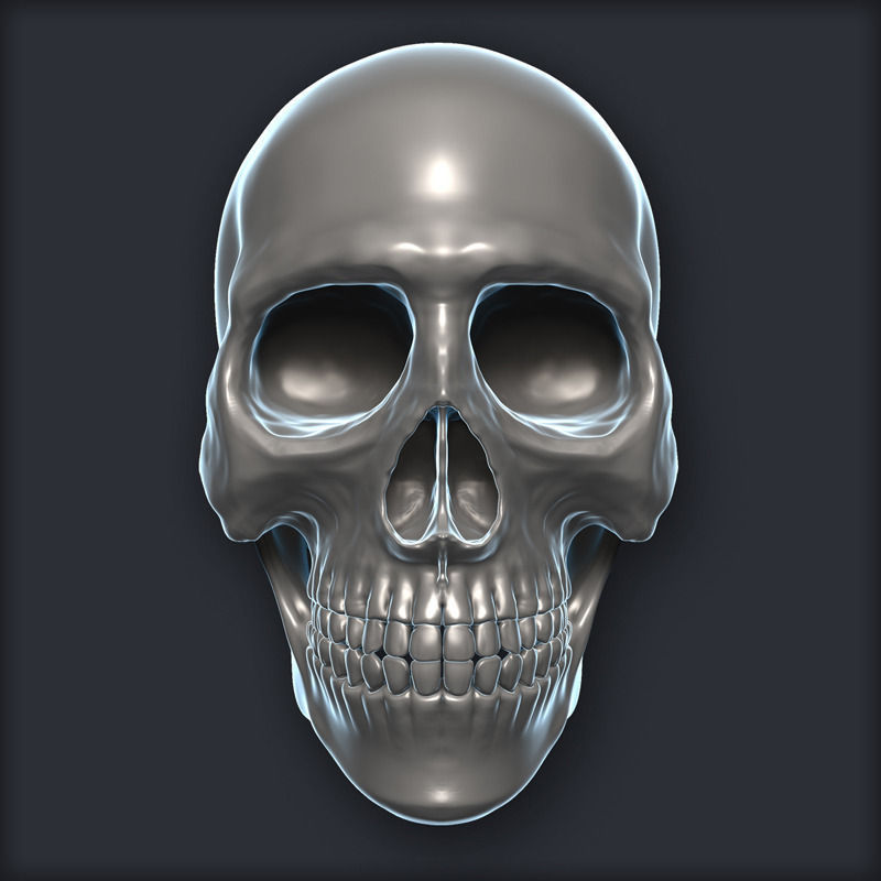 Skull 3D Model Zbrush OBJ 3D model_3