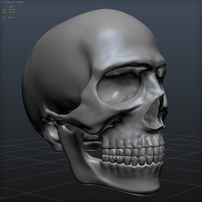 Skull 3D Model Zbrush OBJ 3D model_7