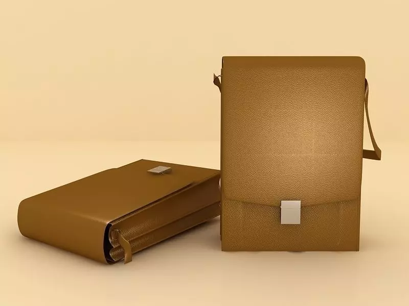 Bussiness Bag Model 3D model_0