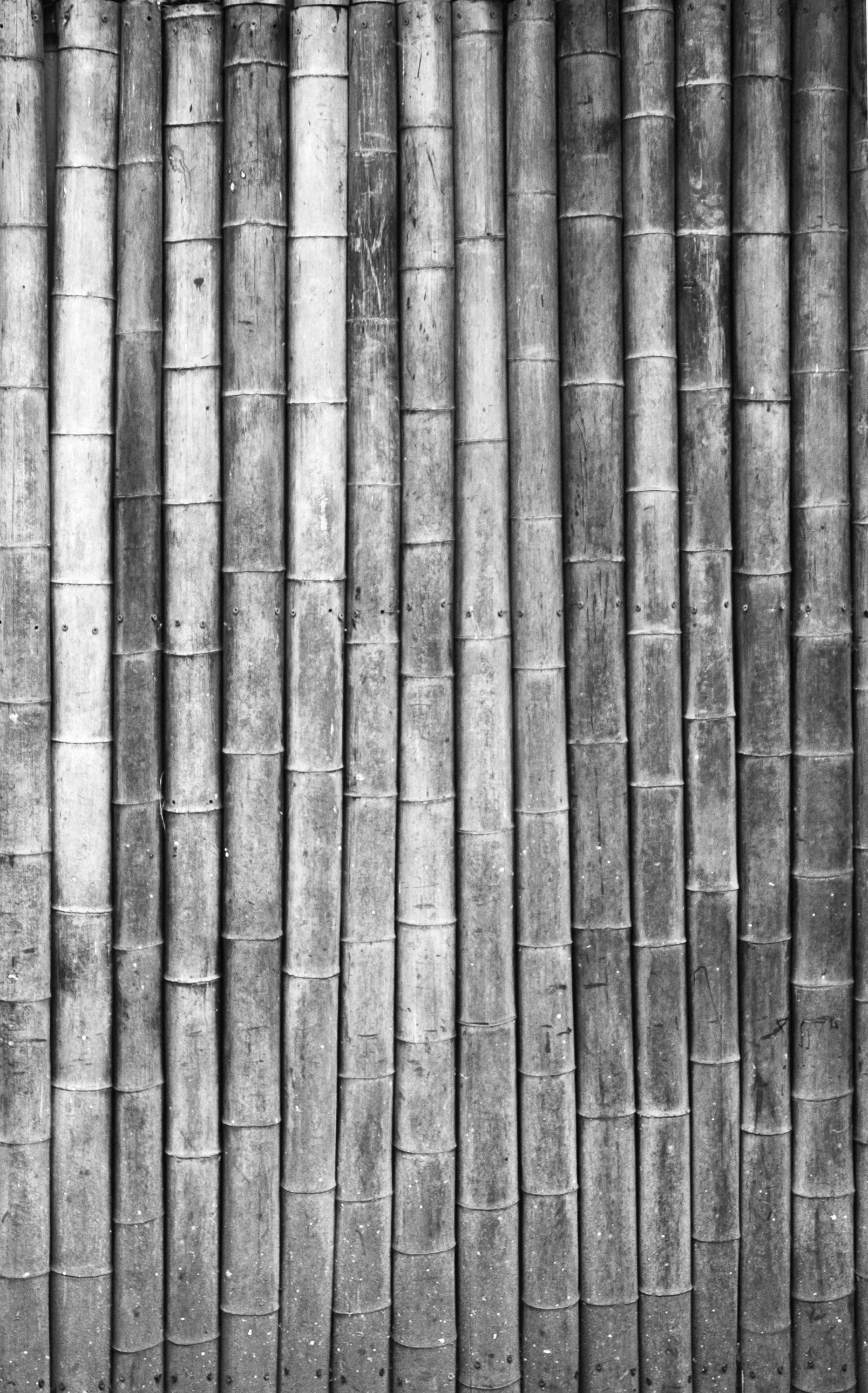 Matrix Dojo 3D model_15